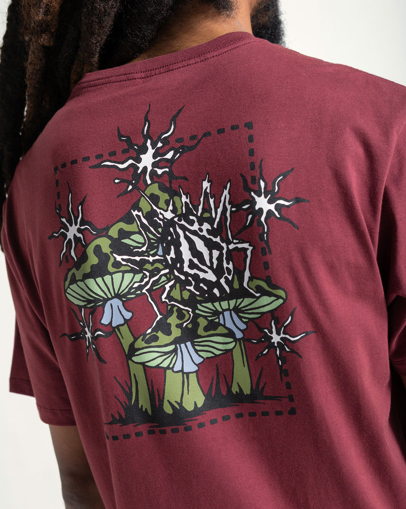 Camiseta Regular Volcom Round About Bordô