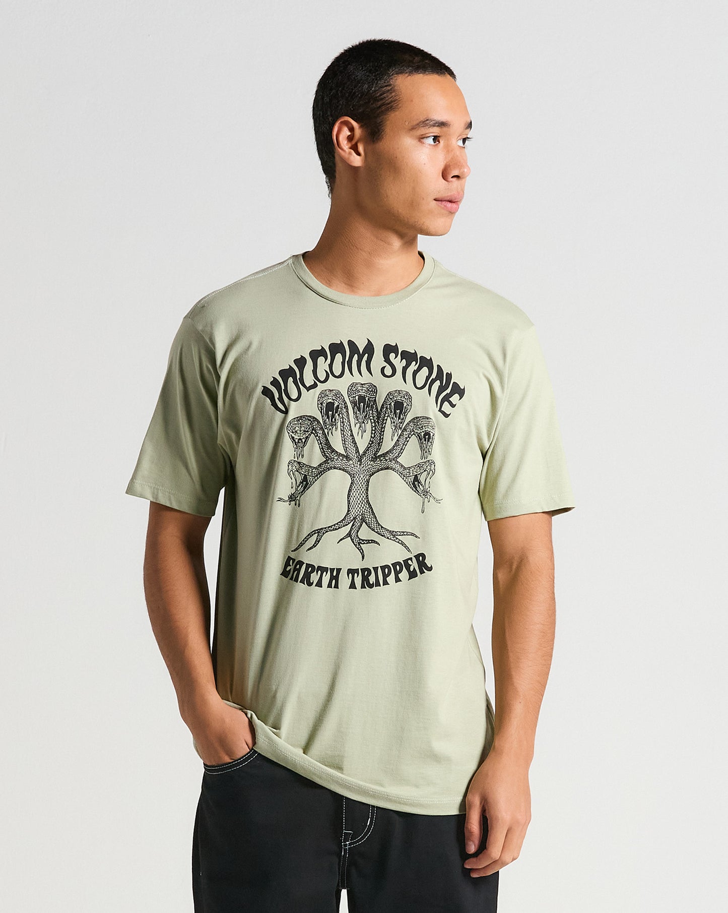 Camiseta Volcom Feeding Tree Verde