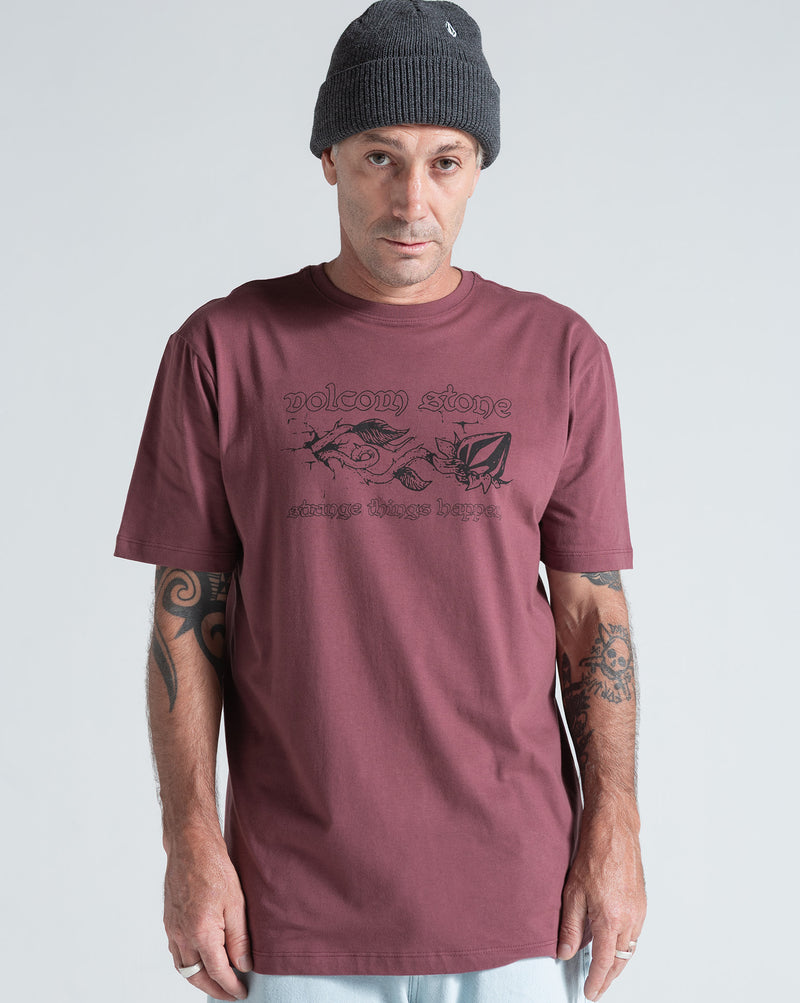 Camiseta Regular Volcom Ingrow Bordô