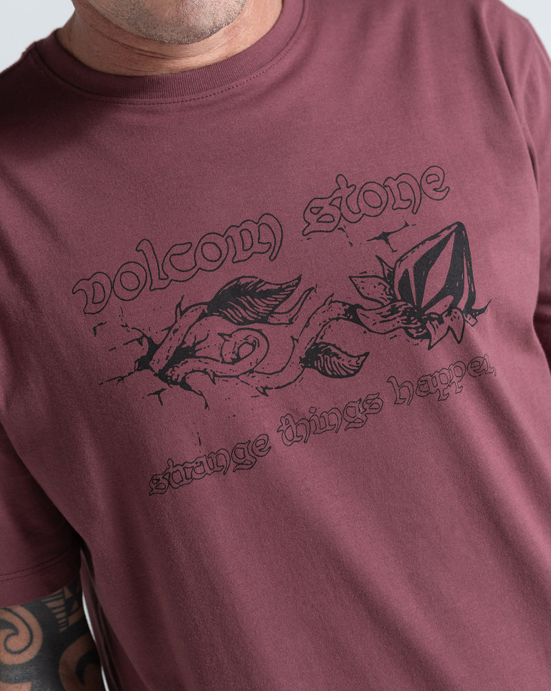 Camiseta Regular Volcom Ingrow Bordô
