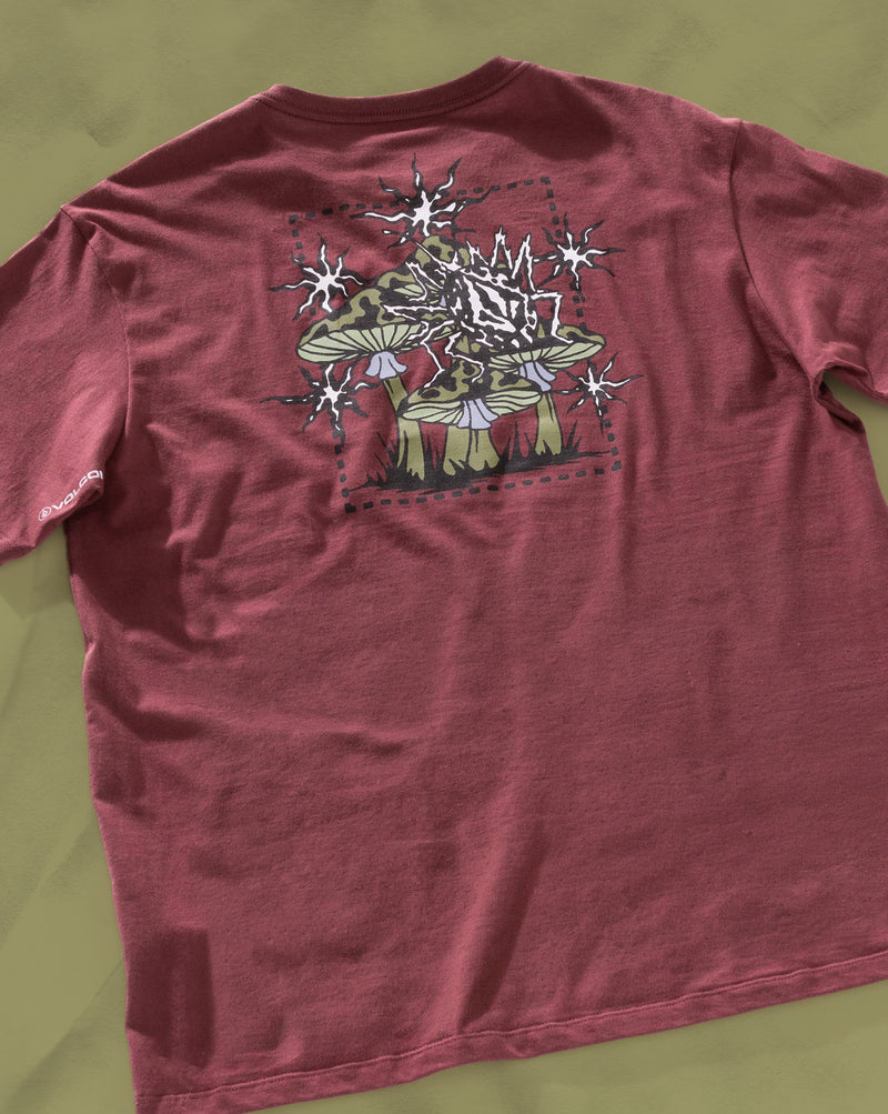 Camiseta Regular Volcom Round About Bordô