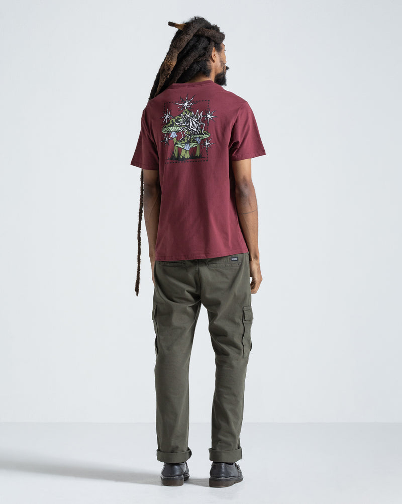 Camiseta Regular Volcom Round About Bordô