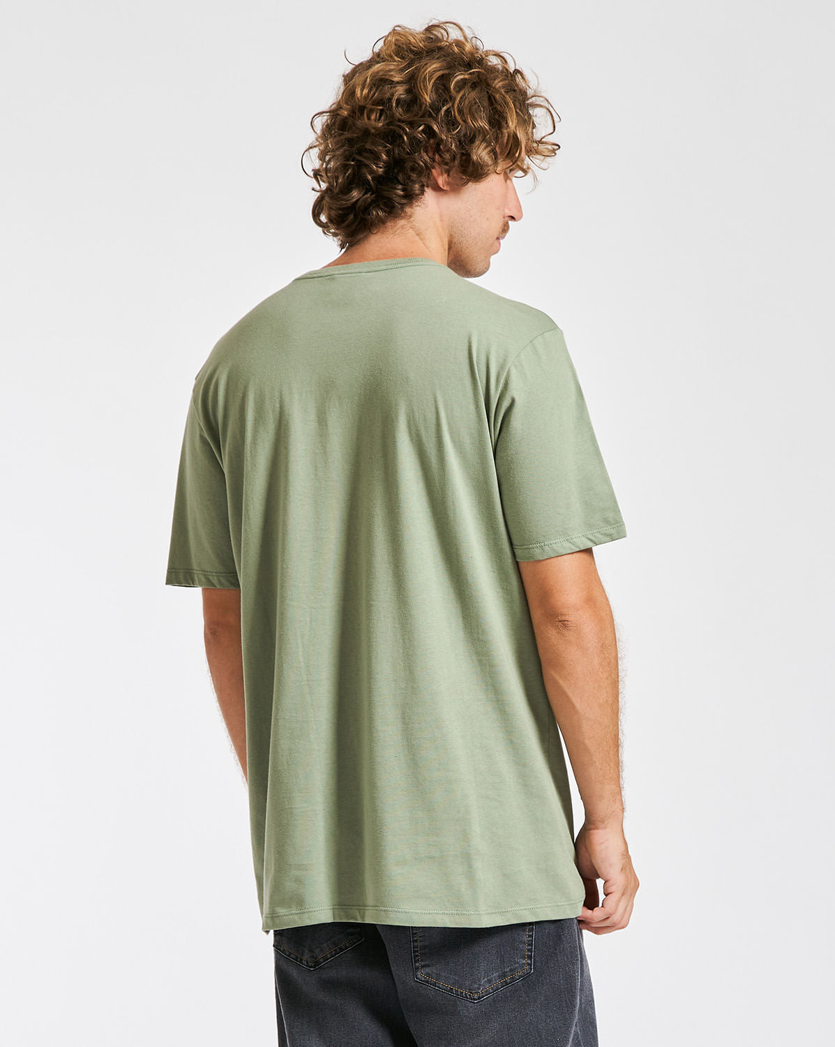 Camiseta Volcom Regular Stone Plant Verde