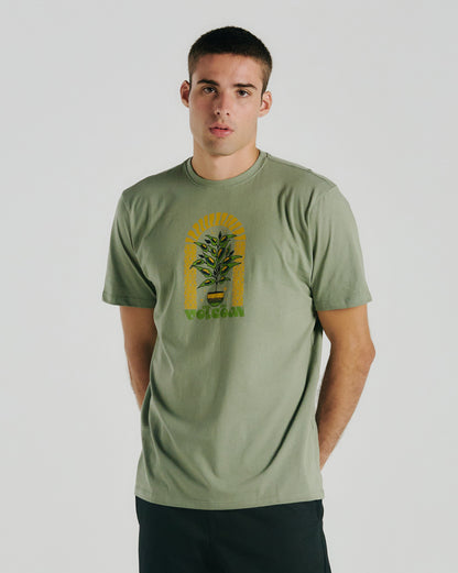 Camiseta Volcom Delights Verde