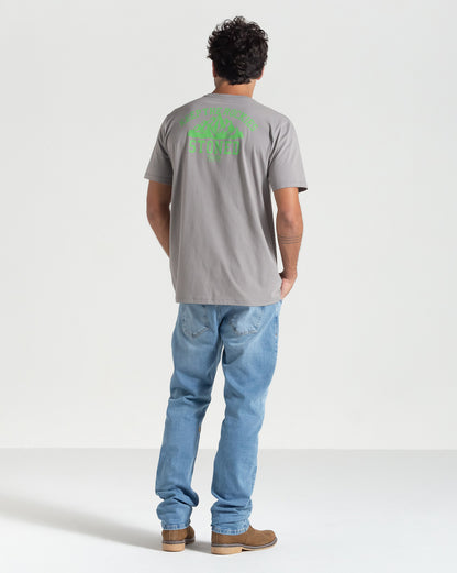 Camiseta Volcom Keep Rockies Stoned Cinza